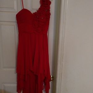 Formal Bee Darlin dress